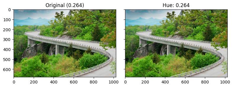 <Figure size 800x300 with 2 Axes>